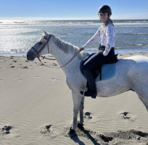 woman with helmet riding english style on grey horse standing on the beach in front of the ocean with a blue sky
